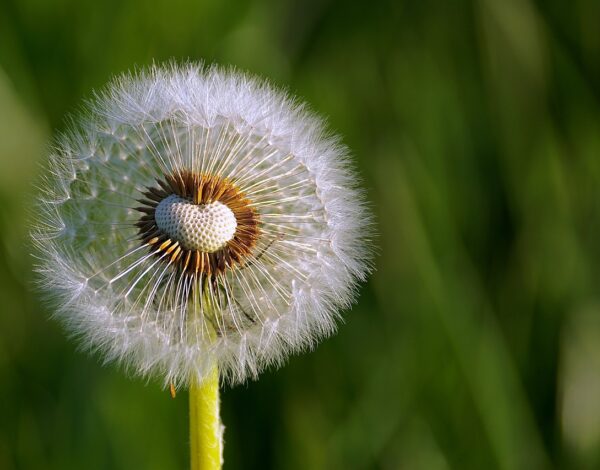 What I Wish I Knew when I got started on Amazon Web Services