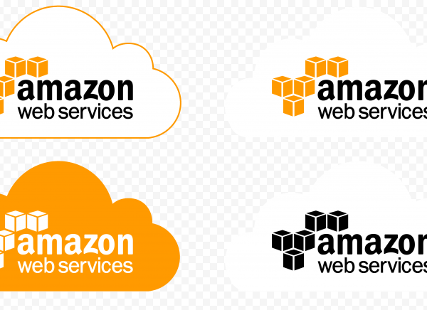 From Seed to Cloud Giant: The Genesis of Amazon Web Services in its First Year